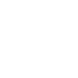Vector